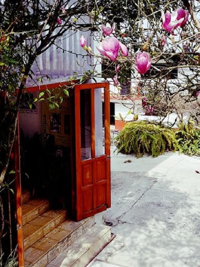 Meson Yohualichan Cuetzalán Bagian luar foto