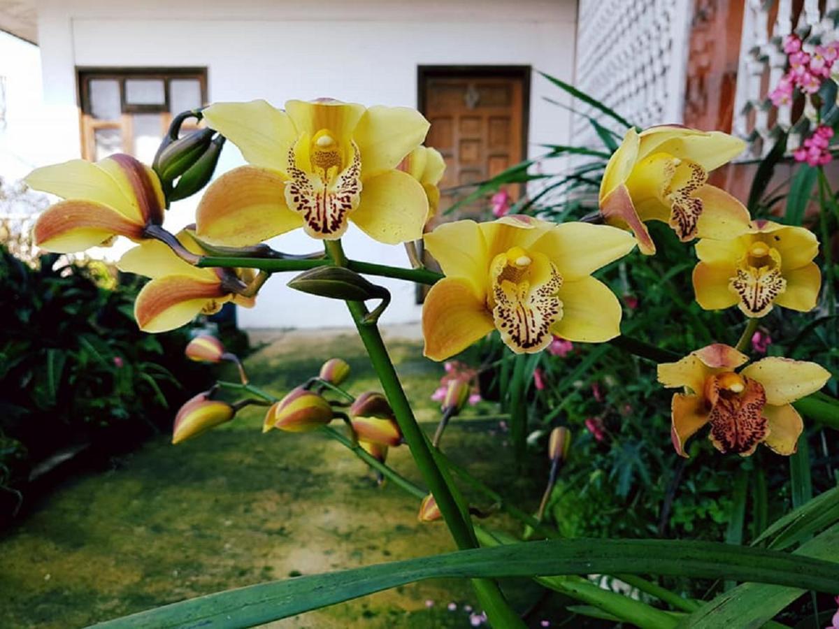 Meson Yohualichan Cuetzalán Bagian luar foto