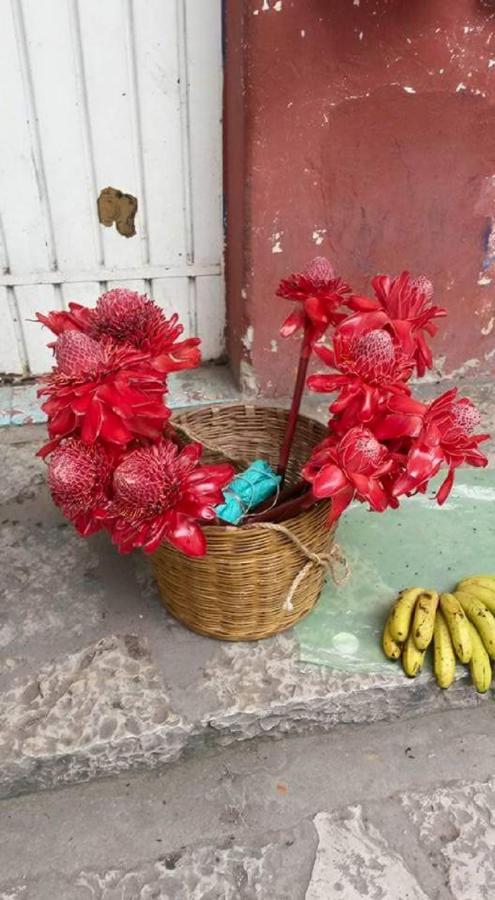 Meson Yohualichan Cuetzalán Bagian luar foto